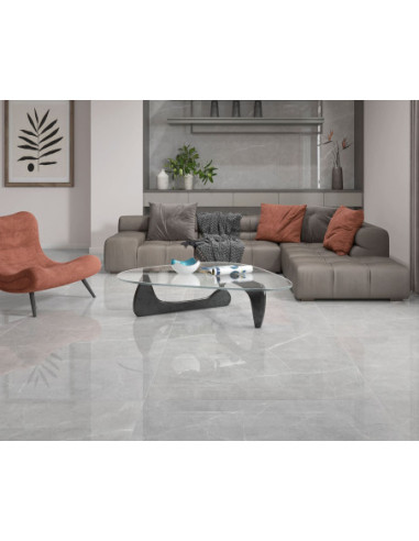 Soberano Grey 60 X 120